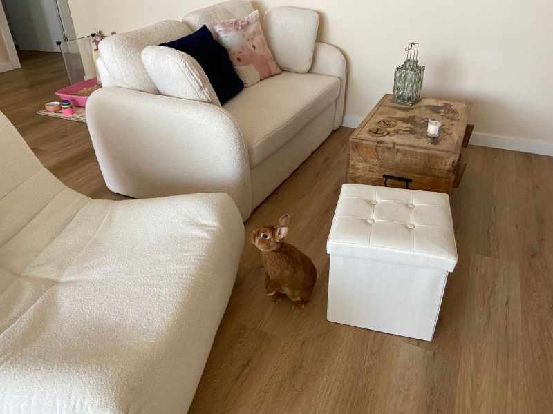 Foto de cliente de Baúl Puff Plegable Lysandre en Color Beige con Terciopelo 38x38 cm
