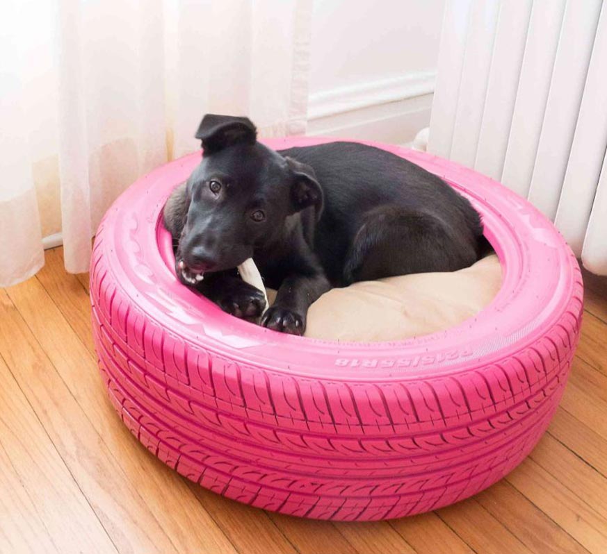 puff originales: perro acostado en un neumático de color rosa, reformado para que sea una cama de perro.