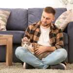 Pet-Friendly: Diseñando un hogar para mascotas y personas
