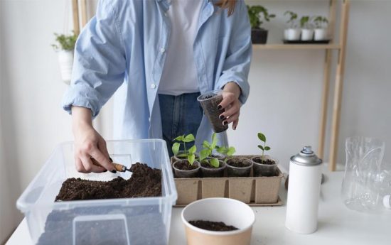Como hacer un jardin vertical DIY