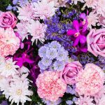 Plantas y flores para decorar la casa: las mejores ideas