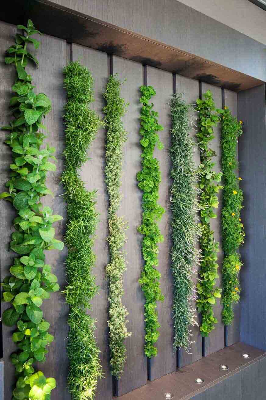 Cómo crear un jardín vertical en la terraza o en el interior de casa