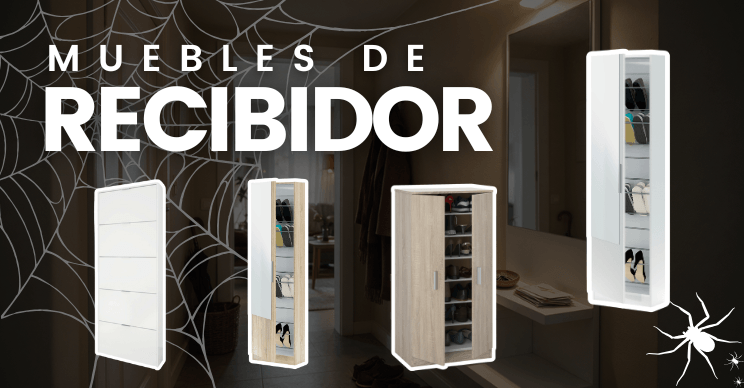 RECIBIDORES